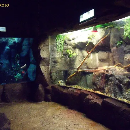 ático Acogedor Lujoso Check-in 24h Penthouse 5 Planta 5 Saragozza